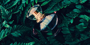 Perfumeco